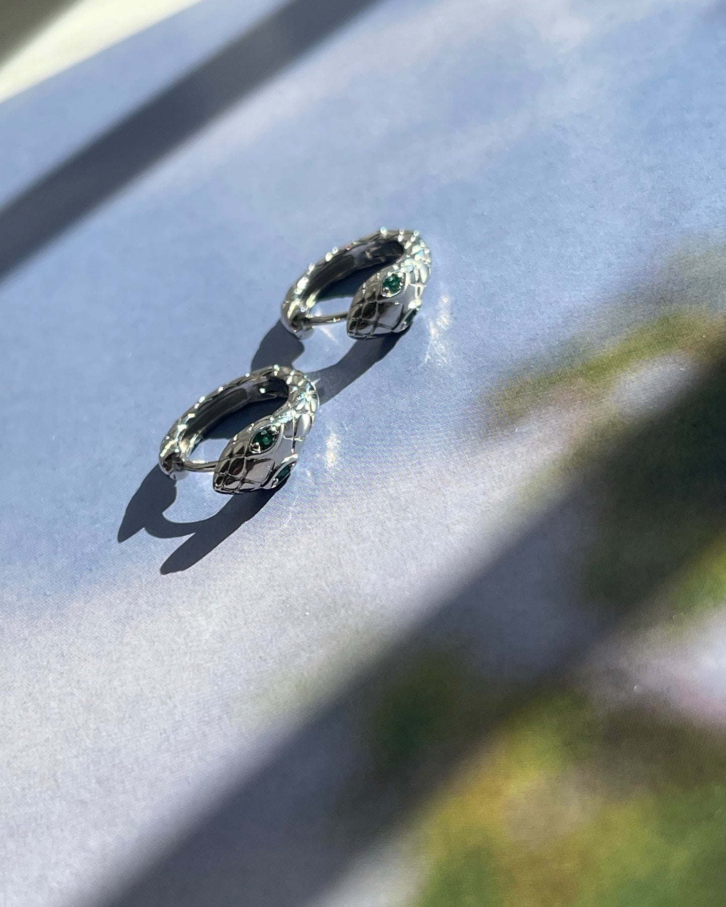 Divine Silver Snakes
